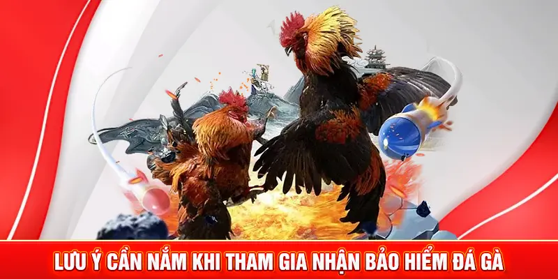 Lưu ý cần nắm khi tham gia nhận bảo hiểm đá gà